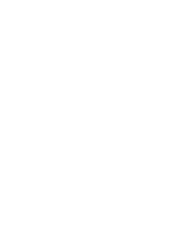America 250 Florida logo